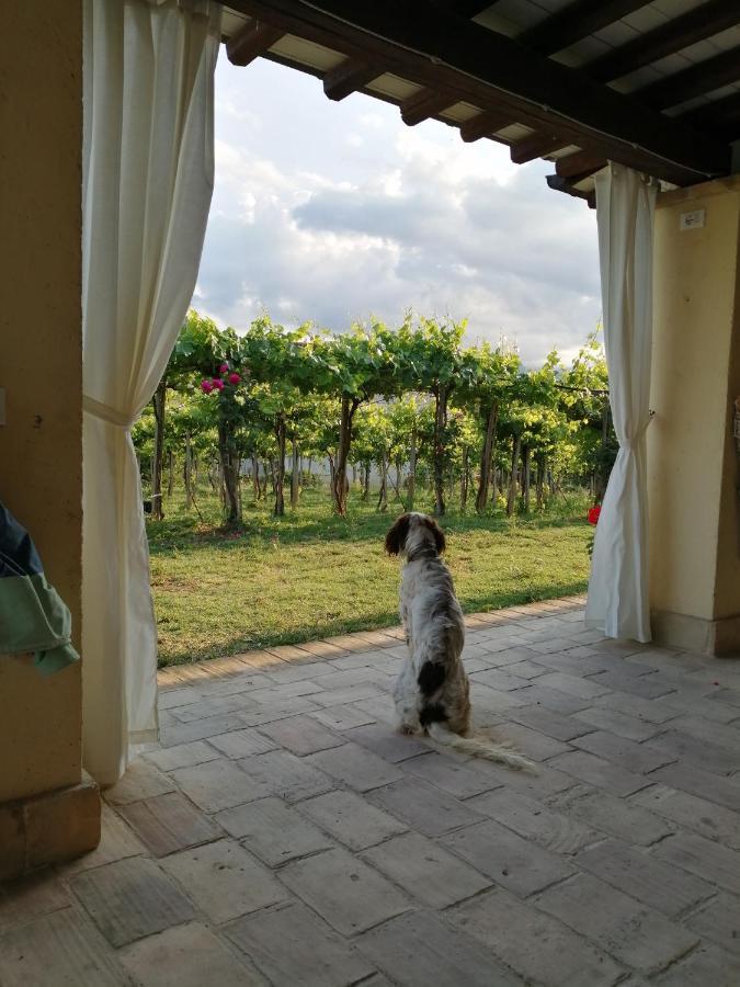 B&B Conca Del Pretore 洛雷托·阿普鲁蒂诺 外观 照片